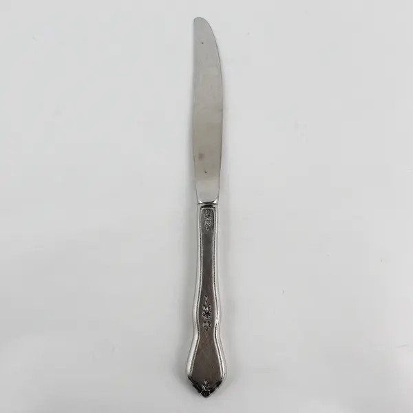 Oneida Silver Morning Blossom Pattern Stainless Hollow Dinner Knife 9" Good