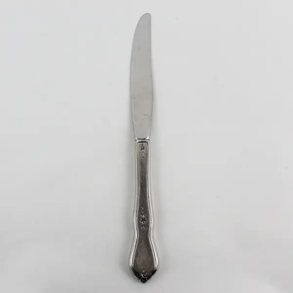 Oneida Silver Morning Blossom Pattern Stainless Hollow Dinner Knife 9" Good