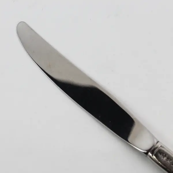 Oneida Silver Morning Blossom Pattern Stainless Hollow Dinner Knife 9" Good