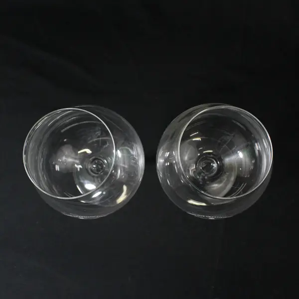 Lot Of 2 Domaine Serene 20th Anniv Matching Etched Clear Glass Wine Glasses 9"