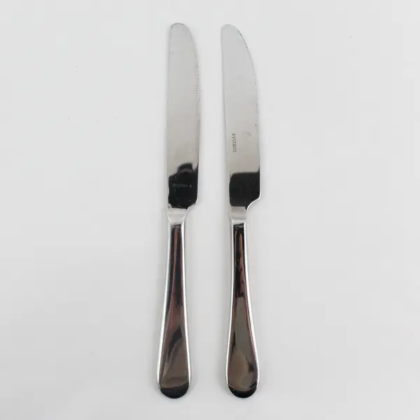 Lot of 2 Oneida Silver Icarus Pattern 18/10 SS Dinner Knives From China 9.5"