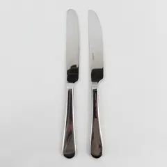 Lot of 2 Oneida Silver Icarus Pattern 18/10 SS Dinner Knives From China 9.5"