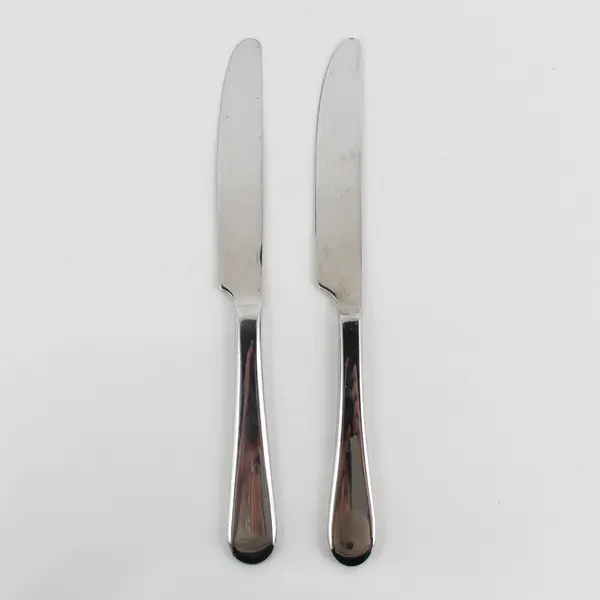 Lot of 2 Oneida Silver Icarus Pattern 18/10 SS Dinner Knives From China 9.5"