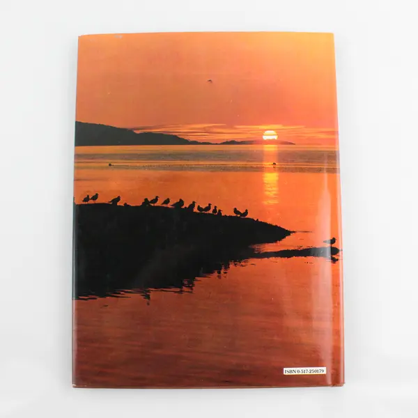 Scandinavia A Picture Book to Remember Her By 1978 Hardcover Photography Book