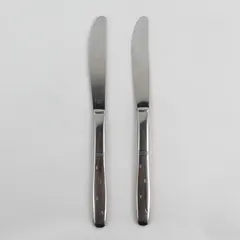 Lot of 2 Washington Forge Starflyte Pattern Stainless Dinner Knives 8" Rare HTF