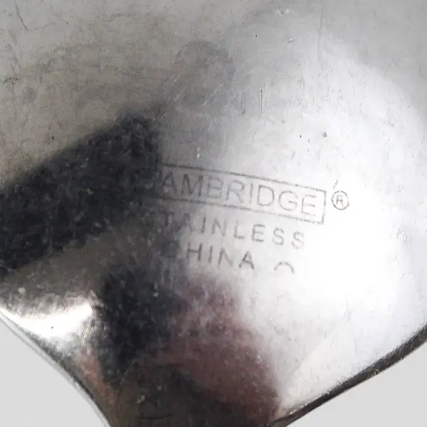 Cambridge Silver Landscape Pattern 18/0 Stainless Steel Oval Soup Spoon 8" Good