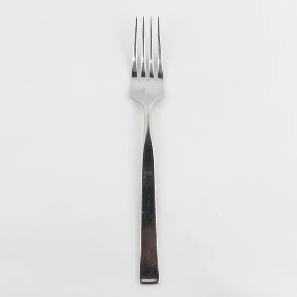 Retroneu Flatware Aspen Pattern 18/8 Stainless Dinner Fork 7.5" Rare HTF Pattern