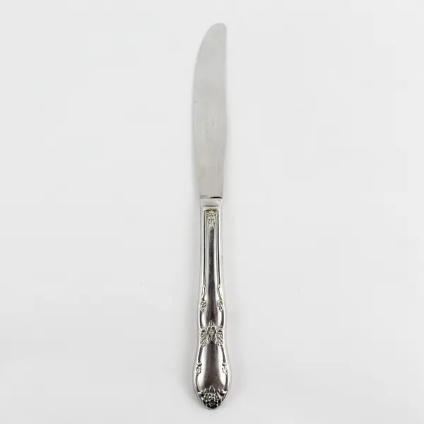 Oneida Silver Fenway Pattern SS 18% Chrome Hollow Dinner Knife 8.5" Good