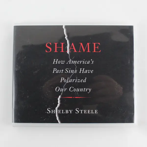 Set of 4 CDs Shame: How America's Past Sins Have Polarized Our Country 2014