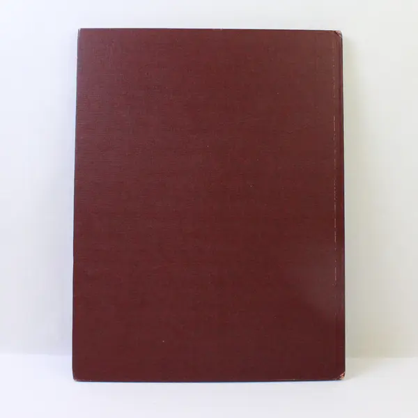 Vintage 1963 The Torch Is Passed AP Story of the Death of a President HC