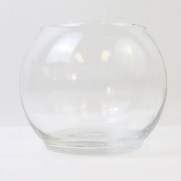 Clear Glass Round Bubble Bowl Vase 4 Inch Small Fish Bowl Terrarium Centerpiece