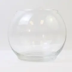 Clear Glass Round Bubble Bowl Vase 4 Inch Small Fish Bowl Terrarium Centerpiece