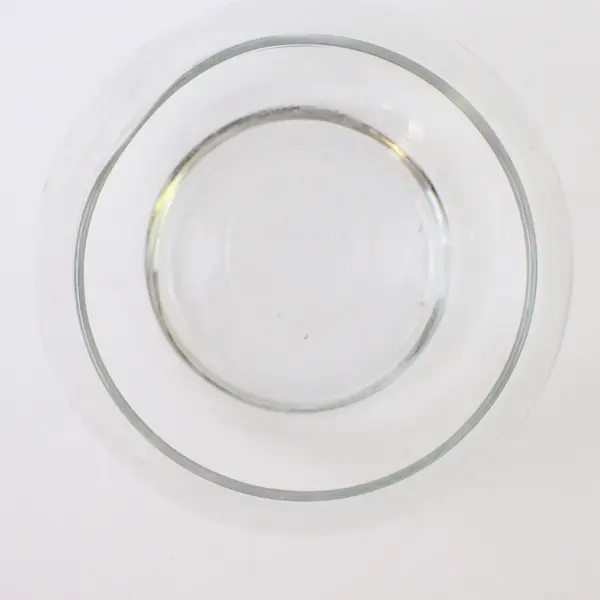 Clear Glass Round Bubble Bowl Vase 4 Inch Small Fish Bowl Terrarium Centerpiece