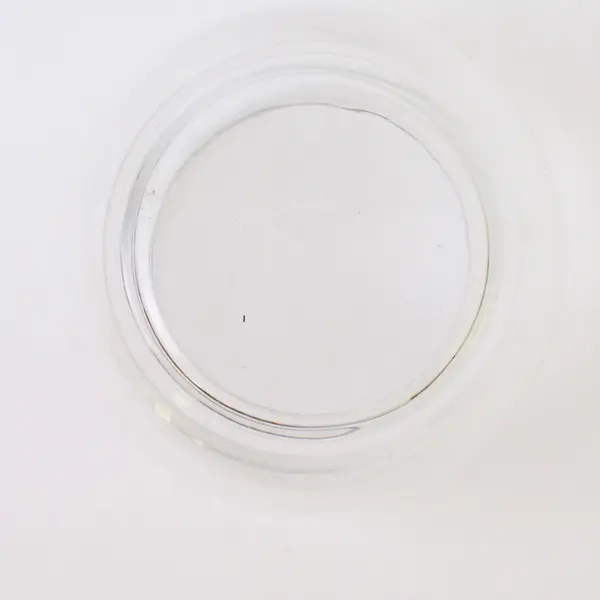 Clear Glass Round Bubble Bowl Vase 4 Inch Small Fish Bowl Terrarium Centerpiece