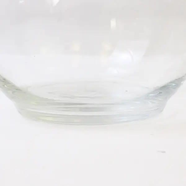Clear Glass Round Bubble Bowl Vase 4 Inch Small Fish Bowl Terrarium Centerpiece