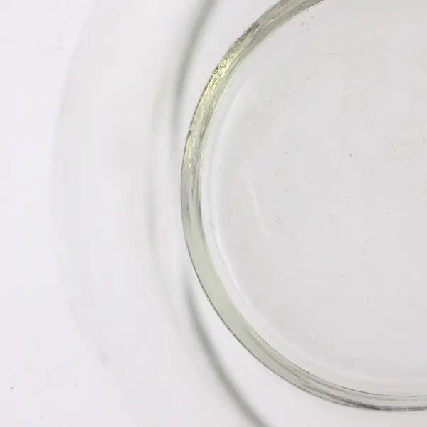 Clear Glass Round Bubble Bowl Vase 4 Inch Small Fish Bowl Terrarium Centerpiece
