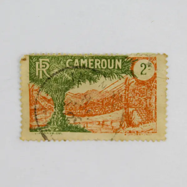 Lot Of 4 French Cameroon Liana Bridge Stamps Used 1920s