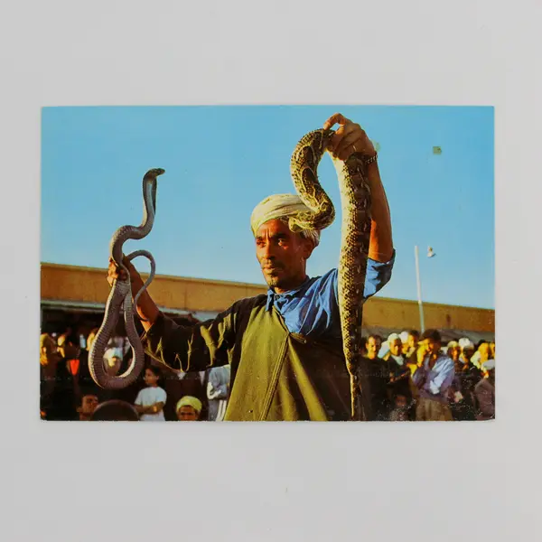 Vintage Snake Charmer at Djemaa El Fna Square Marrakech Morocco Postcard 