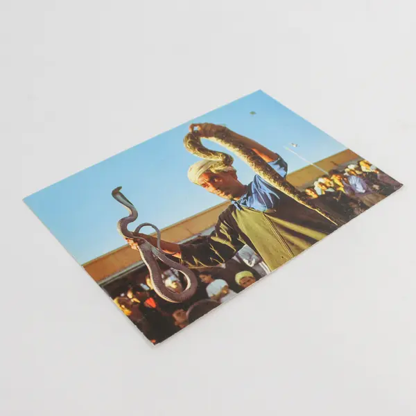 Vintage Snake Charmer at Djemaa El Fna Square Marrakech Morocco Postcard 