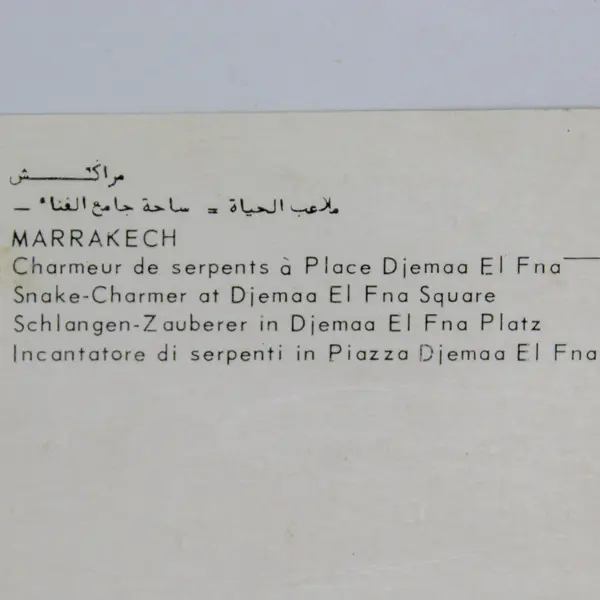 Vintage Snake Charmer at Djemaa El Fna Square Marrakech Morocco Postcard 