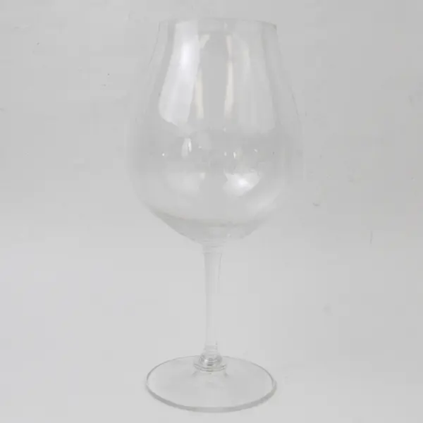 Linfield College Wine Glass 9.5" Tall Used Collegiate Memorabilia