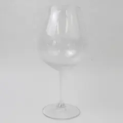 Linfield College Wine Glass 9.5" Tall Used Collegiate Memorabilia