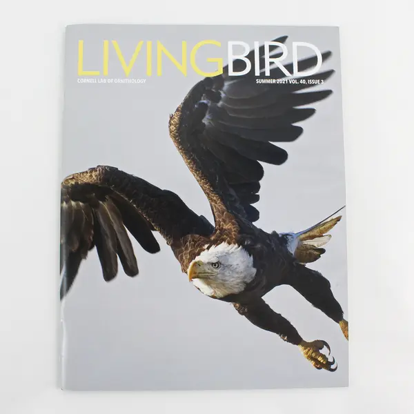 Living Bird Magazine Summer 2021 Volume 40 Number 3 Good Condition