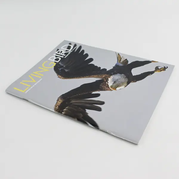 Living Bird Magazine Summer 2021 Volume 40 Number 3 Good Condition
