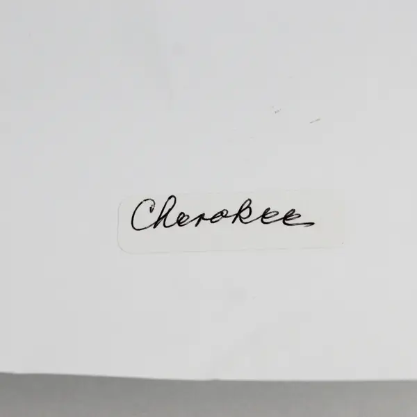 Vintage Photo Reprint Charlotte Ann Adams Swetland Circa 1916 Cherokee Nation 