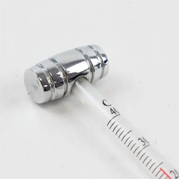 Vintage Wine Champagne Thermometer Silver Barrel-End