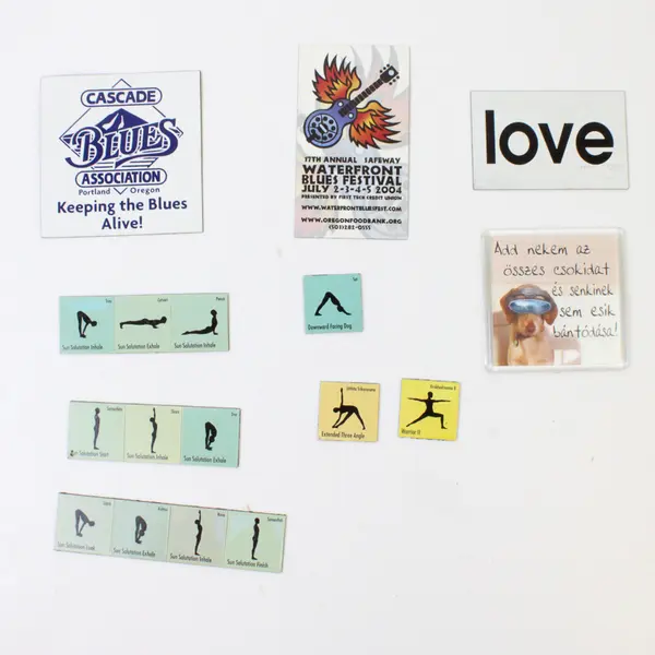 Lot of 10 Refrigerator Magnets Assorted Yoga Dog 'Love' Blues Festival