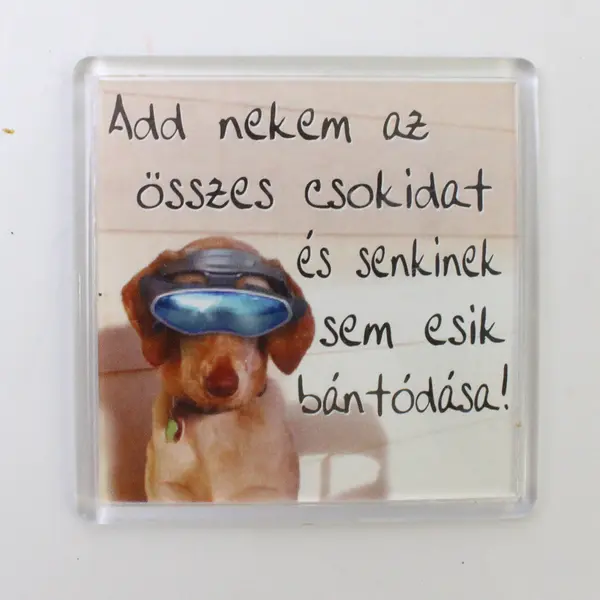 Lot of 10 Refrigerator Magnets Assorted Yoga Dog 'Love' Blues Festival