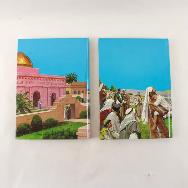 Lot of 2 The Bible Story Arthur S. Maxwell Vols 6 & 8 Hardcover