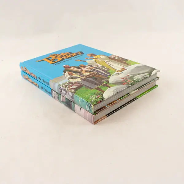Lot of 2 The Bible Story Arthur S. Maxwell Vols 6 & 8 Hardcover