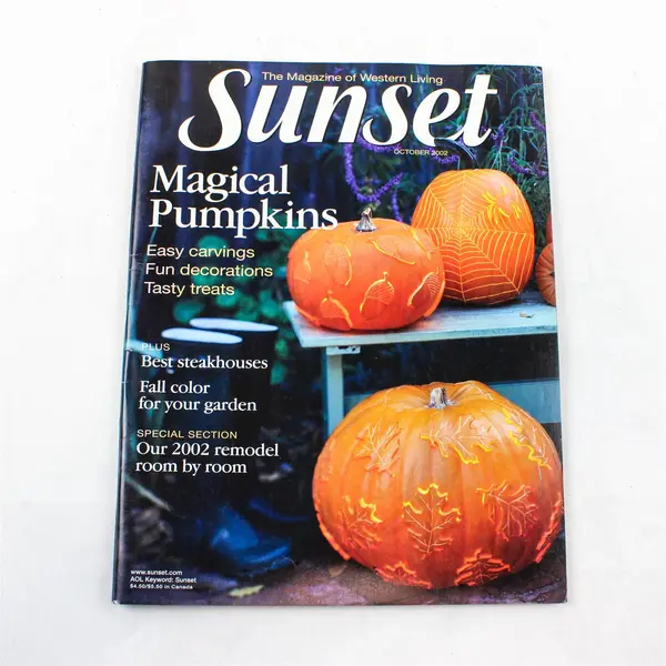 Lot of 3 Assorted Magazines Cozy Soups Winning Gardens Magical Pumpkins