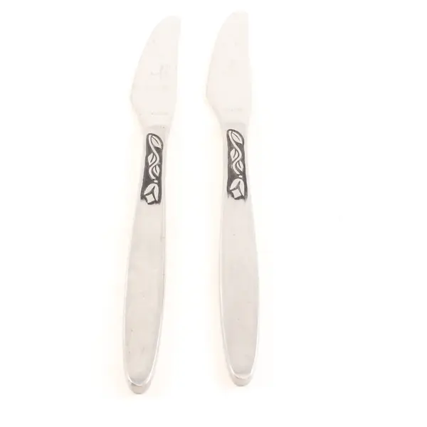 Lot of 2 Amefa Tulip Time Satin Handle Stainless Steel Dinner Knives