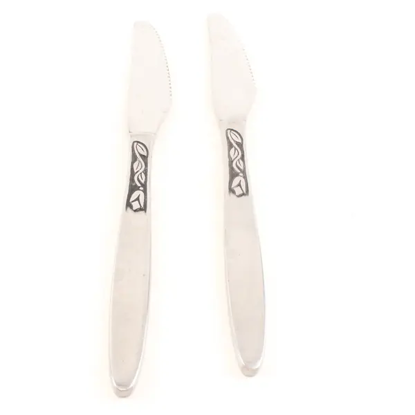 Lot of 2 Amefa Tulip Time Satin Handle Stainless Steel Dinner Knives