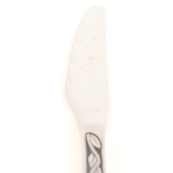 Lot of 2 Amefa Tulip Time Satin Handle Stainless Steel Dinner Knives