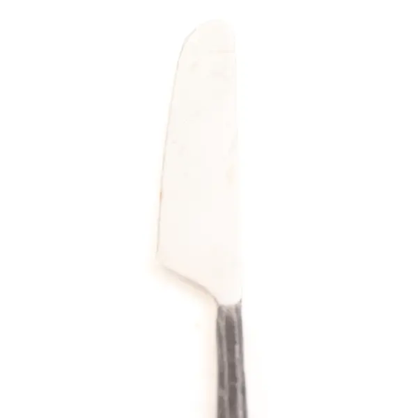 Lot of 4 INOX Twig Stainless Steel 10" Dinner Knives Forged Handles