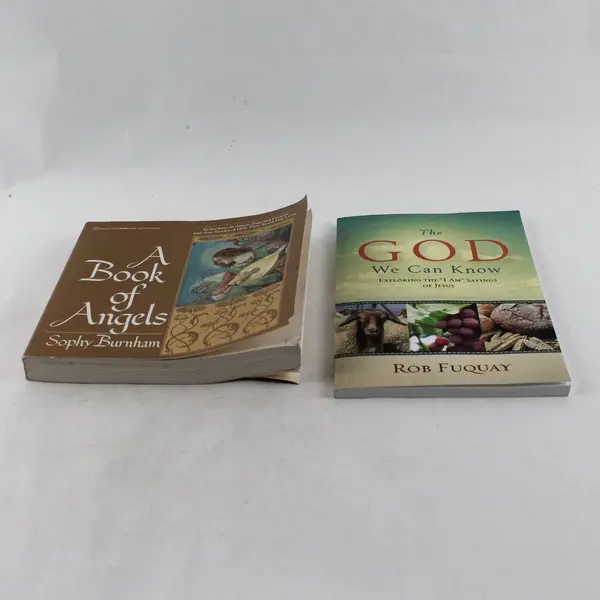 Lot of 2 Paperbacks: The God We Can Know & A Book of Angels