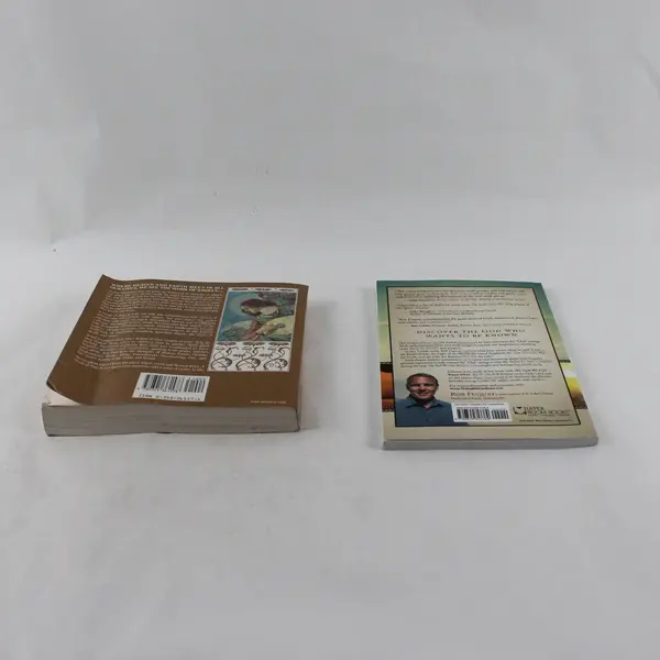Lot of 2 Paperbacks: The God We Can Know & A Book of Angels