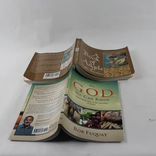 Lot of 2 Paperbacks: The God We Can Know & A Book of Angels