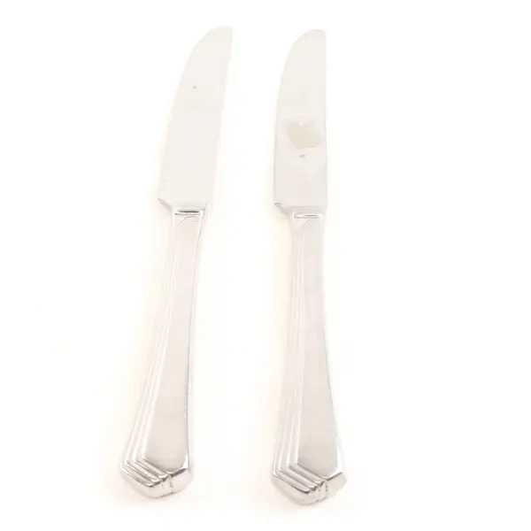 Lot of 2 Yamazaki Ramona Stainless Steel Dinner Knives 8.5"