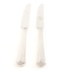 Lot of 2 Yamazaki Ramona Stainless Steel Dinner Knives 8.5"