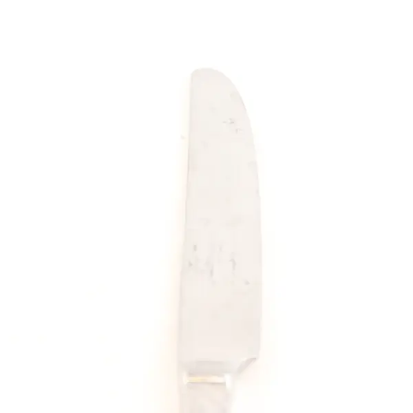 Lot of 2 Yamazaki Ramona Stainless Steel Dinner Knives 8.5"