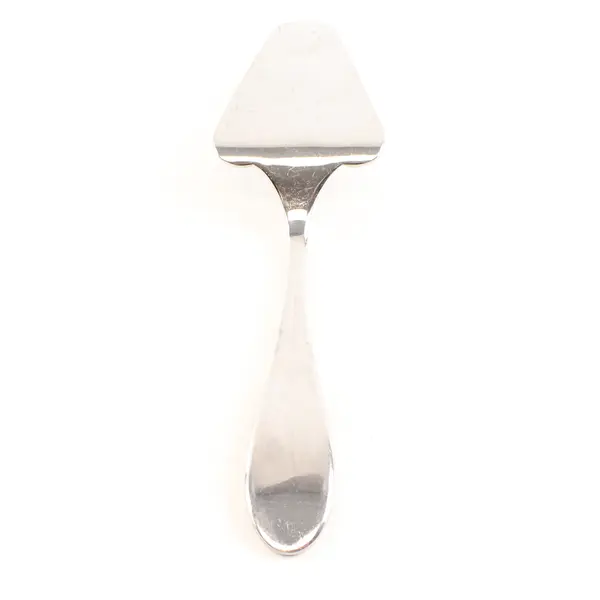 Yamazaki Nicole 10" Stainless Steel Cake Slicer/Server