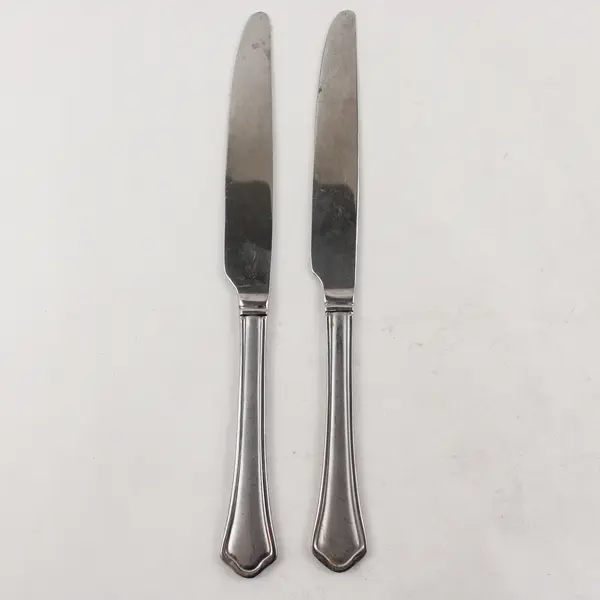 Lot of 2 Pfaltzgraff Capri Frost Stainless Steel Dinner Knives 9.5"