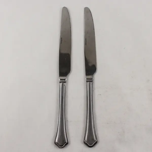 Lot of 2 Pfaltzgraff Capri Frost Stainless Steel Dinner Knives 9.5"