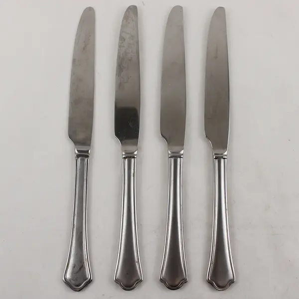 Lot of 4 Pfaltzgraff Capri Frost Stainless Steel Dinner Knives 9.5"
