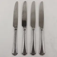 Lot of 4 Pfaltzgraff Capri Frost Stainless Steel Dinner Knives 9.5"